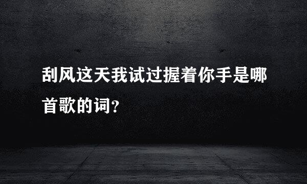刮风这天我试过握着你手是哪首歌的词？