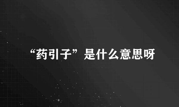 “药引子”是什么意思呀