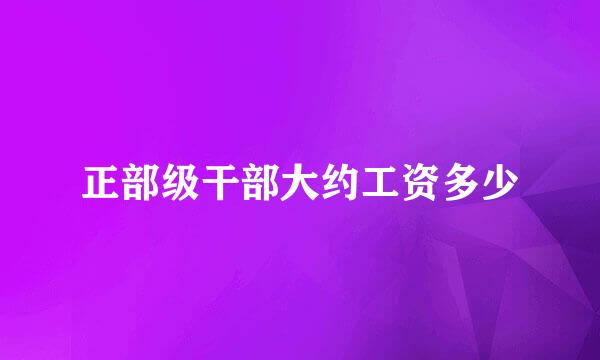 正部级干部大约工资多少