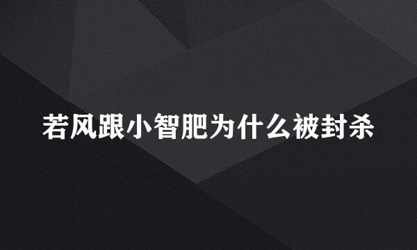若风跟小智肥为什么被封杀