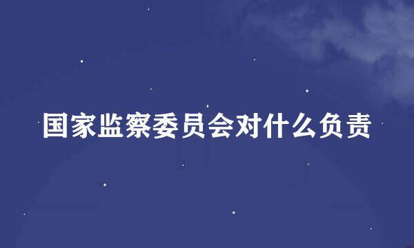 国家监察委员会对什么负责