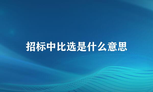 招标中比选是什么意思