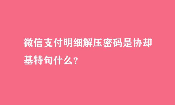 微信支付明细解压密码是协却基特句什么？