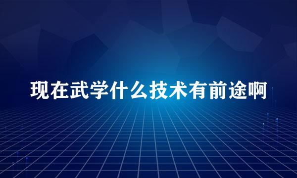 现在武学什么技术有前途啊