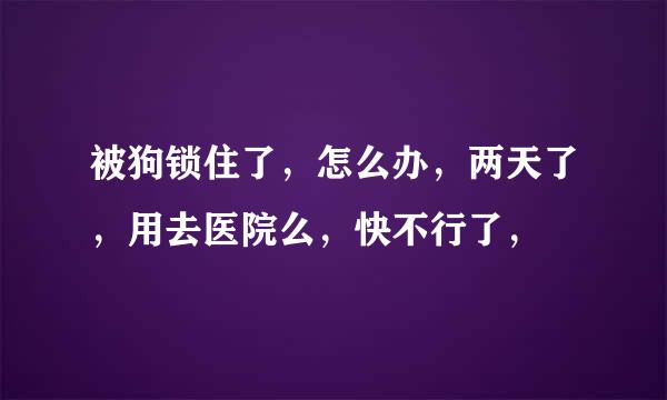 被狗锁住了，怎么办，两天了，用去医院么，快不行了，
