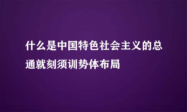 什么是中国特色社会主义的总通就刻须训势体布局