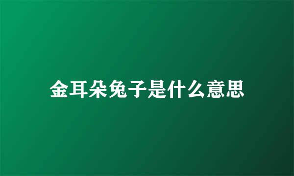 金耳朵兔子是什么意思