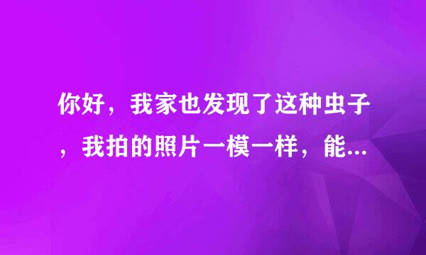 你好，我家也发现了这种虫子，我拍的照片一模一样，能告诉我怎么处理的吗，真的好担忧，如能告知真心感谢