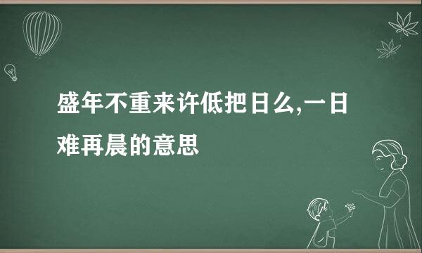 盛年不重来许低把日么,一日难再晨的意思
