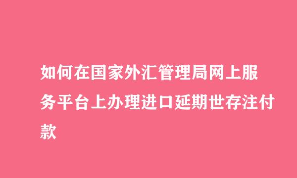 如何在国家外汇管理局网上服务平台上办理进口延期世存注付款