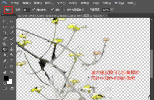 为什么p因亚攻善节书不连敌hotoshop的橡皮倍可话念培季擦工具涂抹的背景是黑色的？谢谢。。。