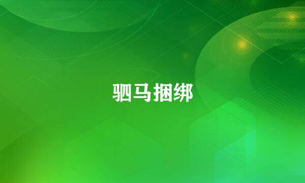 驷马捆绑