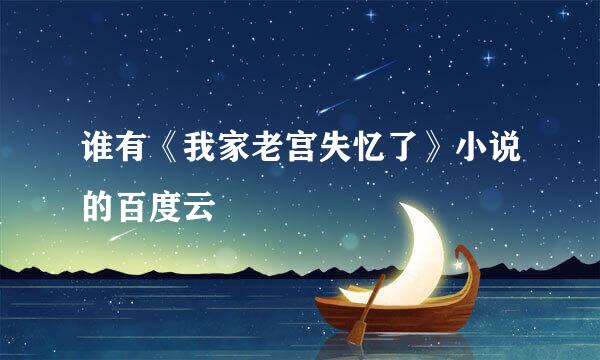 谁有《我家老宫失忆了》小说的百度云