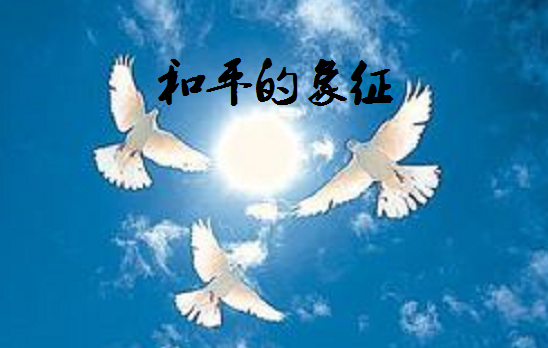 象征来自和比喻的区别。要详细