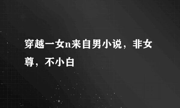 穿越一女n来自男小说，非女尊，不小白