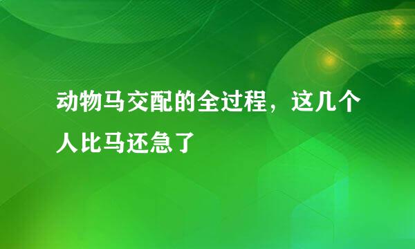 动物马交配的全过程，这几个人比马还急了