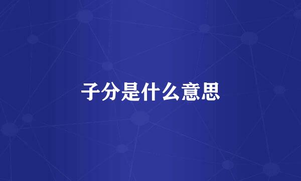 子分是什么意思