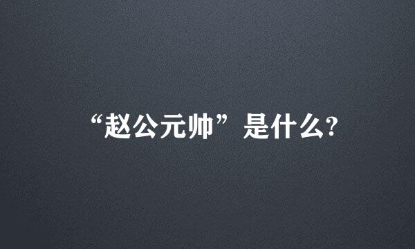 “赵公元帅”是什么?