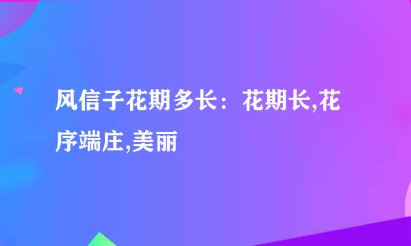 风信子花期多长：花期长,花序端庄,美丽
