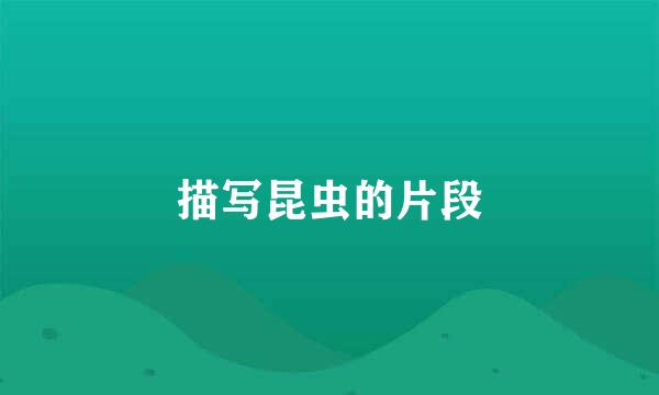 描写昆虫的片段