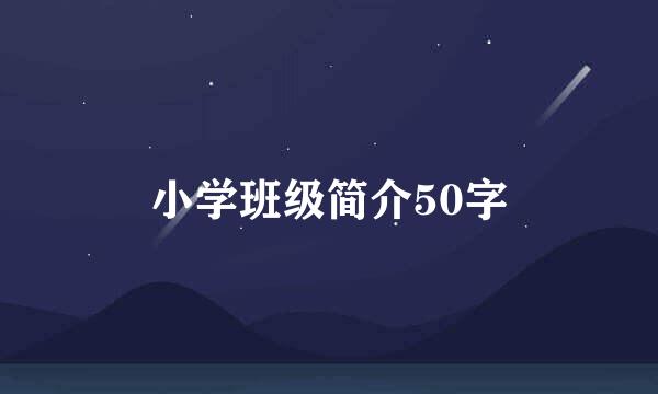 小学班级简介50字