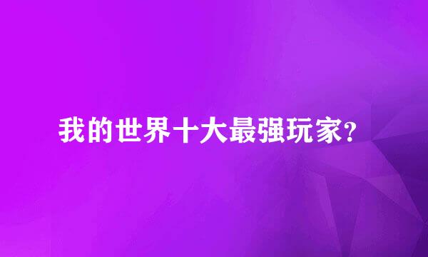 我的世界十大最强玩家？