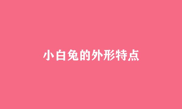 小白兔的外形特点