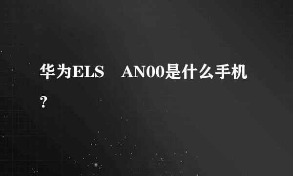 华为ELS–AN00是什么手机？