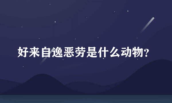 好来自逸恶劳是什么动物？