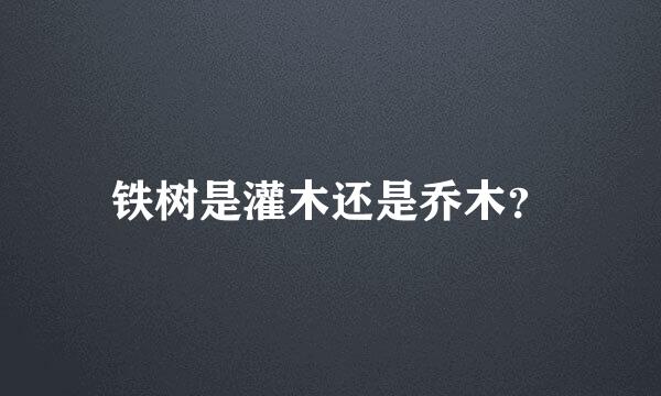 铁树是灌木还是乔木？