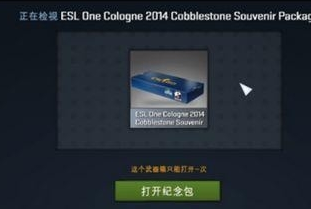 cs来自go的一把崭新龙狙多少人民币？