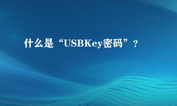 什么是“USBKey密码”？