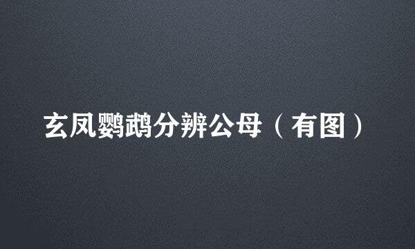 玄凤鹦鹉分辨公母（有图）
