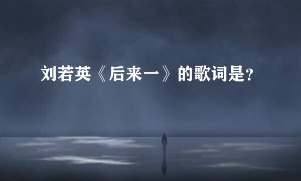 刘若英《后来一》的歌词是？