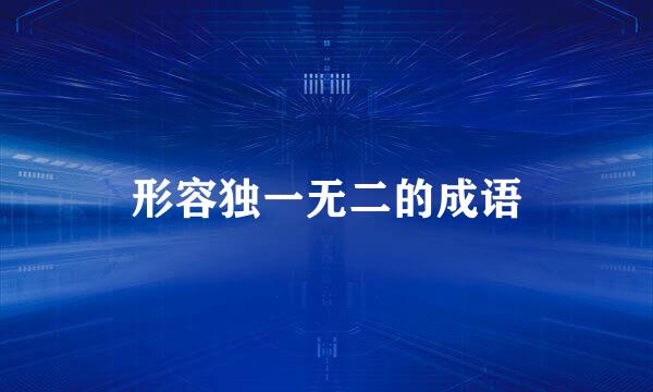 形容独一无二的成语
