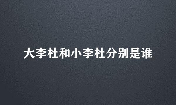 大李杜和小李杜分别是谁
