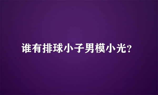 谁有排球小子男模小光？