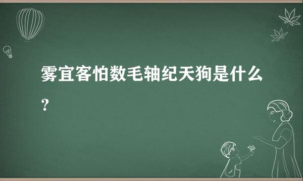 雾宜客怕数毛轴纪天狗是什么？
