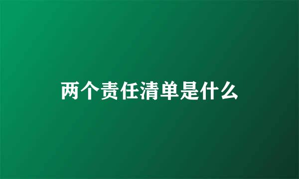 两个责任清单是什么