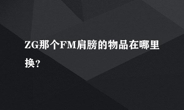 ZG那个FM肩膀的物品在哪里换？