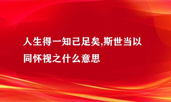 人生得一知己足矣,斯世当以同怀视之什么意思
