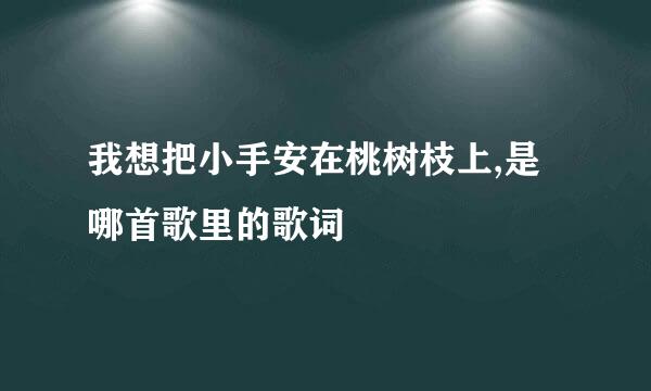 我想把小手安在桃树枝上,是哪首歌里的歌词