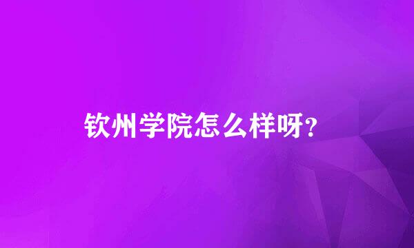 钦州学院怎么样呀？