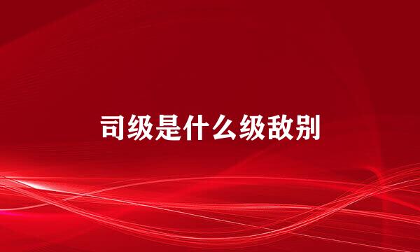 司级是什么级敌别