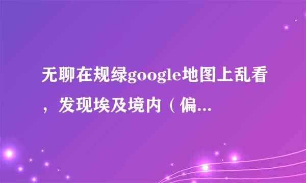 无聊在规绿google地图上乱看，发现埃及境内（偏西南）有如下图的东东，请问那一圈圈的是神马东西？？？