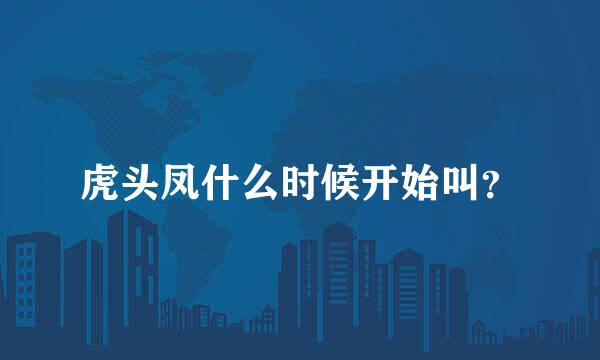 虎头凤什么时候开始叫？