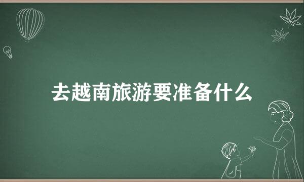 去越南旅游要准备什么