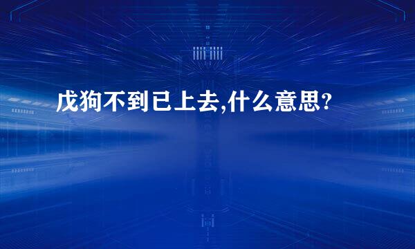 戊狗不到已上去,什么意思?
