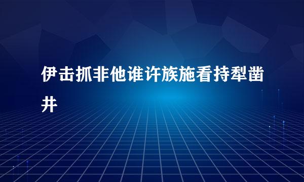 伊击抓非他谁许族施看持犁凿井