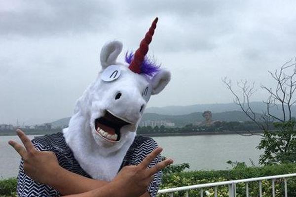 毒角show为来自什么不更新了？